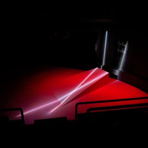 Ich war. Ich bin. Ich werde sein. Rosa Luxemburg 