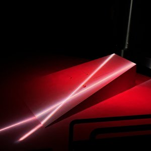 Ich war. Ich bin. Ich werde sein. Rosa Luxemburg 