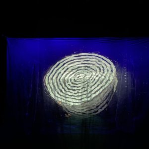 Mehr ist nicht zu sagen.