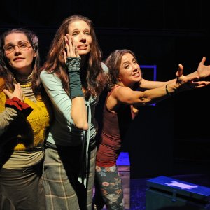 Shakespeares Wilde Weiber