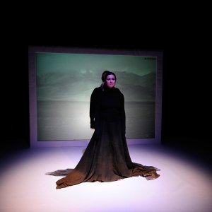 Land ohne Worte, 2012
